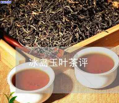 冰岛玉润是古树茶吗？解析冰岛玉润、玉叶、玉石等茶叶品种及其价格