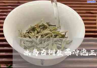 冰岛古树茶生茶怎么泡，详细教程：如何冲泡冰岛古树茶生茶？