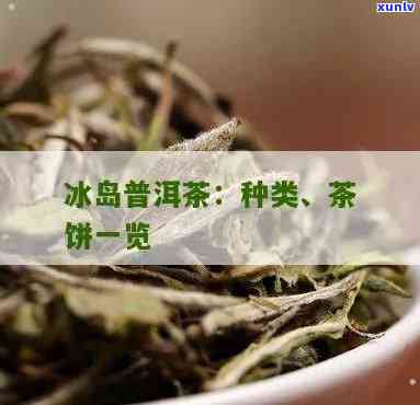 冰岛茶饼是什么茶，解密冰岛茶饼：它究竟是什么类型的茶叶？