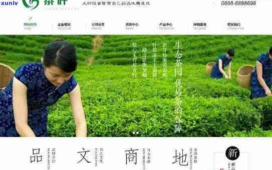 叶福新茶叶多少钱？了解叶福新茶叶价格、官网规矩、公司信息及无需疑问，一网打尽！