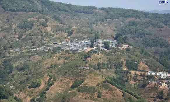 云南省临沧市冰岛茶在那个县，探寻云南临沧市冰岛茶的产地，它究竟在哪个县？