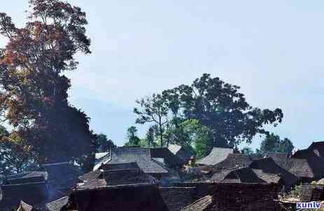 冰岛五大茶山，探索冰岛五大茶山：领略神秘北风光的绝佳去处