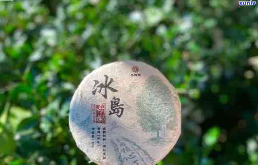 喝冰岛古树茶的滋味-喝冰岛古树茶的滋味是什么