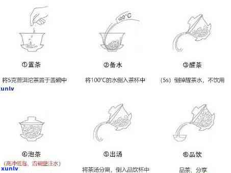 茶叶冲泡 *** 示意图-茶叶冲泡 *** 示意图片