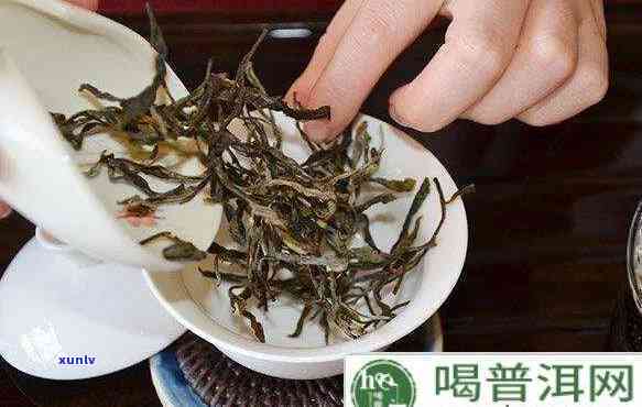 各种茶叶投茶量口诀-各种茶叶投茶量口诀是什么