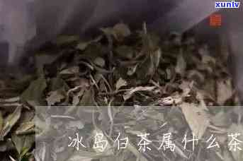 冰岛白茶是的白茶了吗，探究茶叶世界：冰岛白茶是否堪称的白茶？