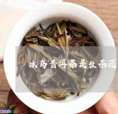 冰岛老白茶是生茶吗-冰岛老白茶是生茶吗还是熟茶