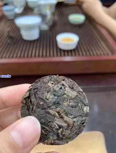 冰岛500年古树饼茶，探索千年古韵：冰岛500年老树红茶的魅力