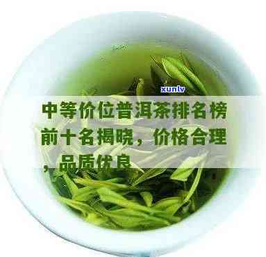 中等价位的茶叶推荐，推荐几款中等价位的优质茶叶