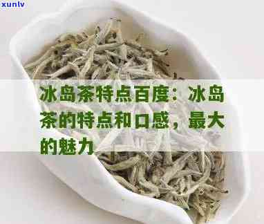 冰岛茶的特点及功效，探秘冰岛茶的独特魅力：特点与功效解析