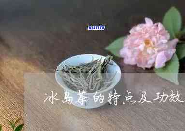 布朗山熟普洱古树茶口感区别解析：了解不同年份、土和工艺对口感的影响