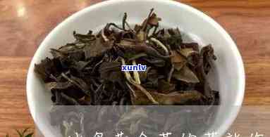 冰岛黄金叶茶好不好-冰岛黄金叶茶好不好抽