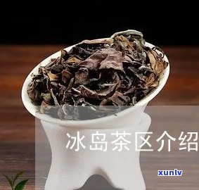 冰岛茶分多少个赛区-冰岛茶等级