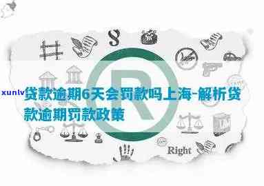 上海贷款逾期政策规定-上海贷款逾期政策规定最新