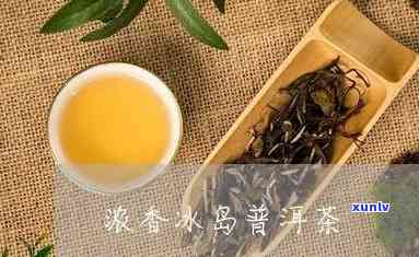 正宗冰岛蜜香潽洱茶-冰岛蜜香普洱质量如何