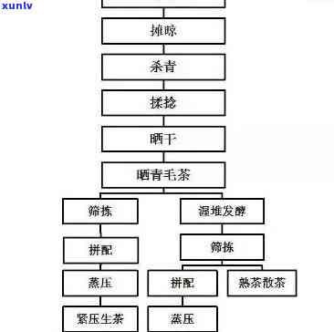 冰岛茶 *** 工艺流程图详解：从采摘到冲泡步骤全解析