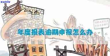 申报表逾期未报解决  及留意事