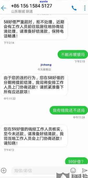 正宗冰岛古树茶货源-正宗冰岛古树茶货源在哪里