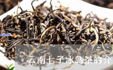 云南七子冰岛茶的介绍，探秘云南七子冰岛茶：神秘的普洱瑰宝