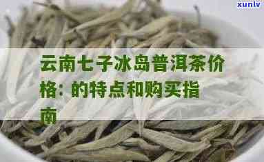 云南七子冰岛茶的介绍，探秘云南七子冰岛茶：神秘的普洱瑰宝