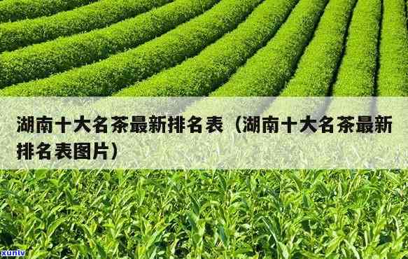 湖南的茶叶排行-湖南的茶叶排行榜前十名