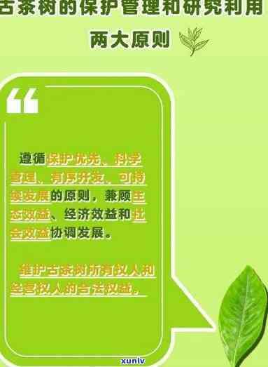 禁止乱倒茶叶通知怎么写，严正警告：严禁乱倒茶叶，违者将受到处罚！