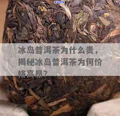 冰岛茶种是大理种吗？为何价格昂贵、难以种植、缺乏产地认知？它究竟产自哪里？属于普洱茶吗？