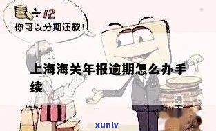 上海海关逾期不申报-上海海关逾期不申报会怎么样