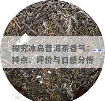 冰岛暗香普洱茶怎么样，深度解析：冰岛暗香普洱茶的口感与品质