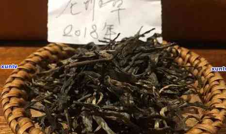 冰岛暗香普洱茶怎么样，深度解析：冰岛暗香普洱茶的口感与品质