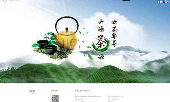 关于茶叶的网站有哪些，探索茶叶世界：了解各种茶叶相关网站