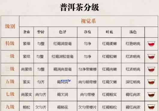 茶叶的等级划分标准-茶叶的等级划分标准图