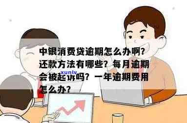 中行消费贷逾期还款指南：如何处理高额逾期费用及避免被起诉？