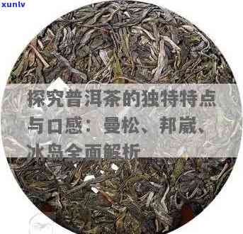 曼松和冰岛的普洱茶比较区别，揭秘曼松与冰岛普洱茶的区别，品味不一样的口感世界