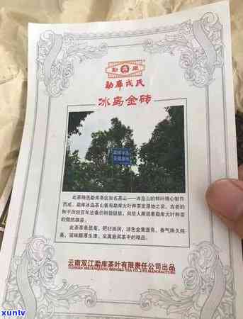 冰岛金砖茶价格及介绍：品种、档次、价格全解析