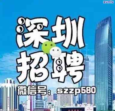 深圳专员：  信息、  网、服务公司与机构一览