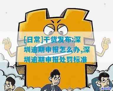 深圳逾期申报怎么办，怎样解决深圳逾期申报？