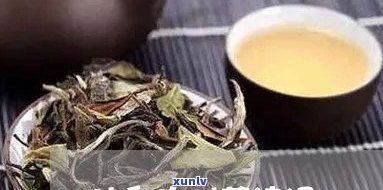 形容冰岛古树茶的诗-形容冰岛古树茶的诗词