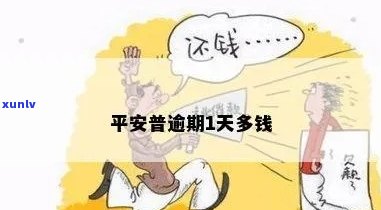 信用卡还款逾期5天后果详解：如何避免信用受损及利息累积