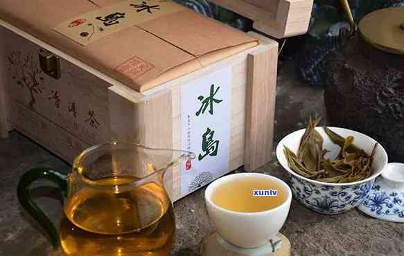 冰岛古树茶品客世家-品冰岛古树茶心得