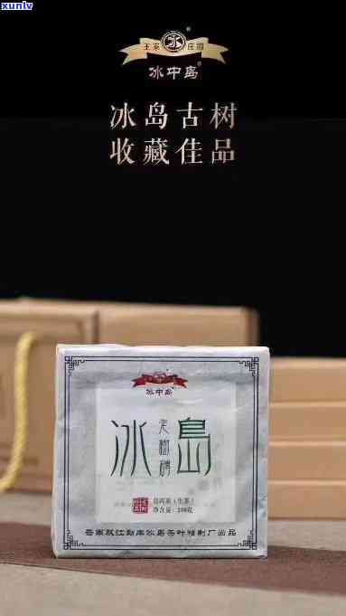 冰岛古树茶品客世家-品冰岛古树茶心得