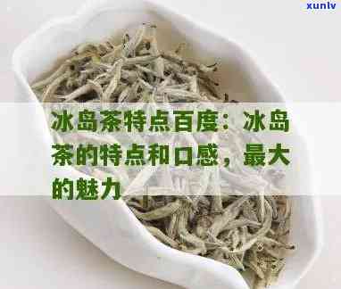 冰岛茶特点是什么，探索冰岛茶的独特魅力：了解其特点与风情