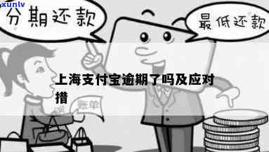 上海快钱支付导致逾期-上海快钱支付导致逾期怎么办