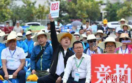 福建知名普洱茶零售企业名单：探寻福建地区颇具声誉的普洱茶销售实体。