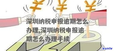 深圳国税个税逾期申报-深圳国税个税逾期申报怎么办