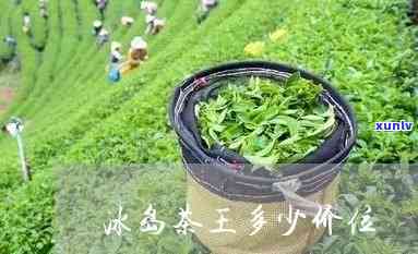 冰岛茶王在哪个位置-冰岛茶王在哪个位置卖