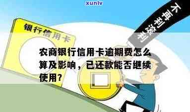 农村商业银行信贷逾期之前信贷收取的费用，揭秘：农村商业银行逾期前信贷收取的费用及作用