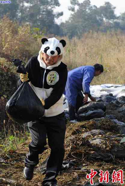 探究中国最贵的五款茶叶及其、排名，揭秘其中的前三名及十大品种，一探究竟哪一种为中国最贵的茶？