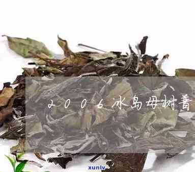 冰岛母树茶古树纯料-冰岛母树茶价格