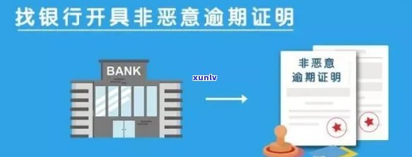 深圳开非恶意逾期证明的步骤、模板及所需材料